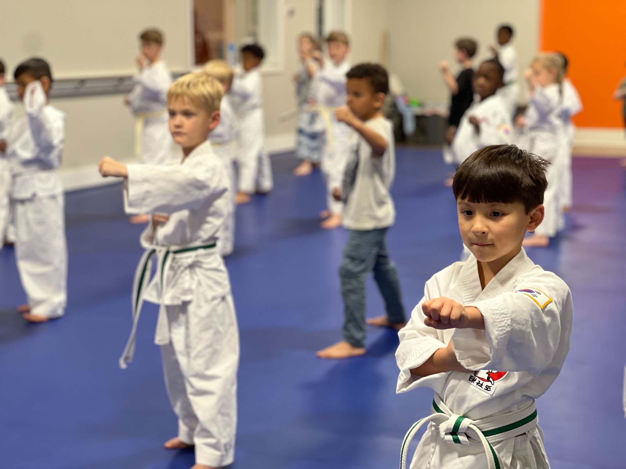 GMAC Taekwondo Picture
