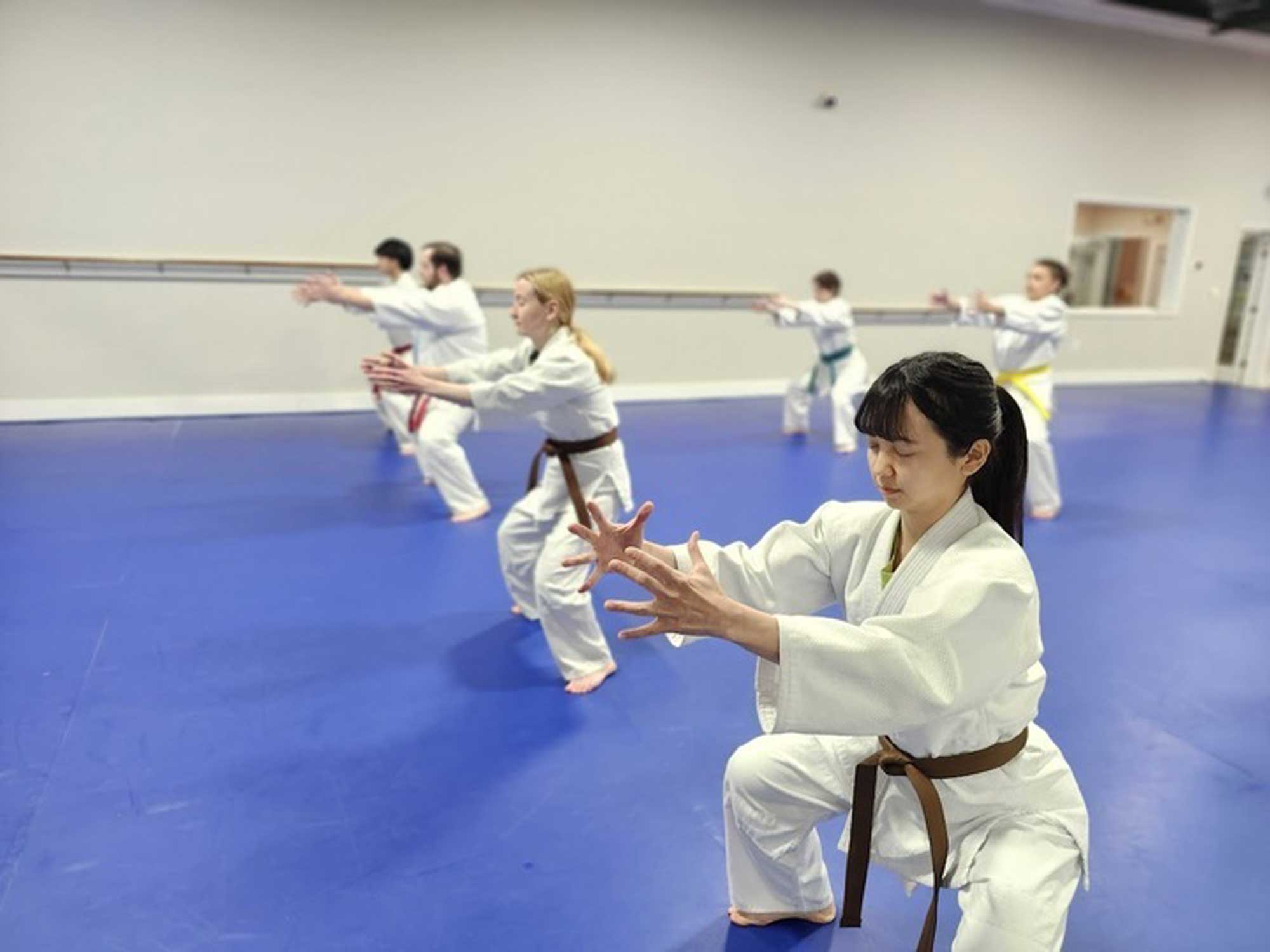 GMAC Hapkido Picture