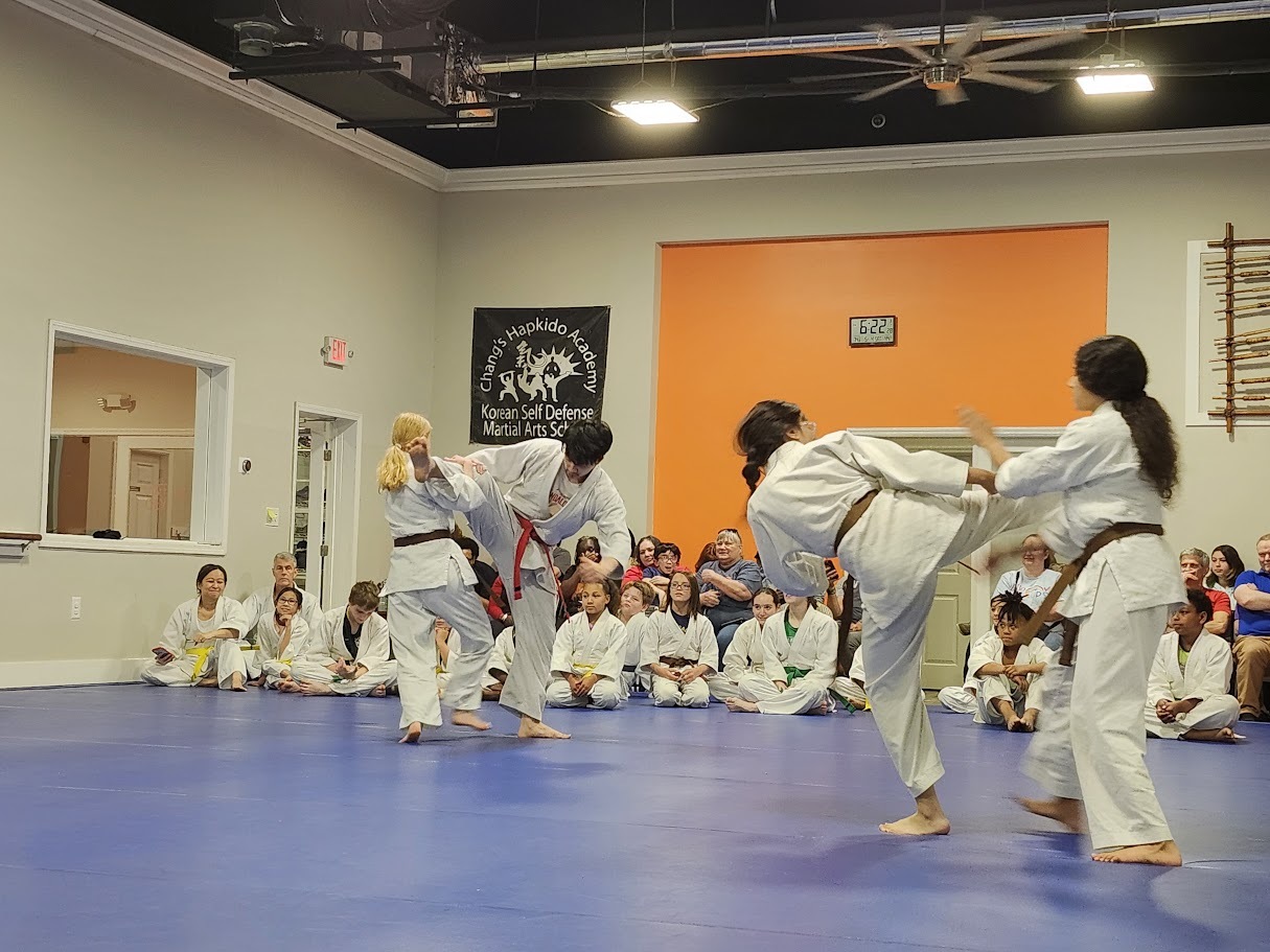 GMAC Hapkido Picture 2