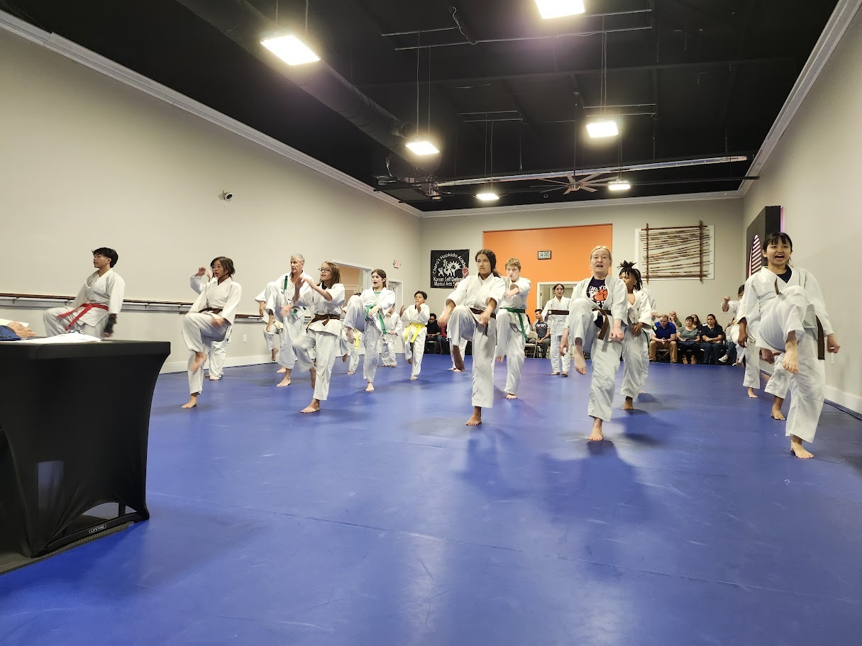 GMAC Hapkido Picture 4